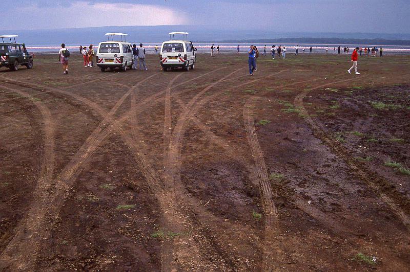 WT 1400 205-11 Kenya Lake Nakuru.jpg